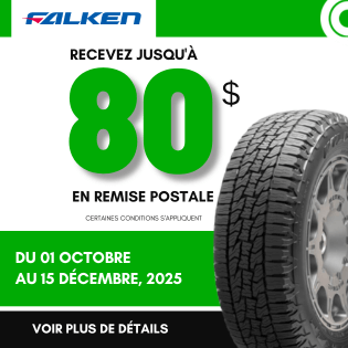 REMISE POSTALE falken CHEZ blackcircles.ca