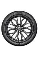 BRIDGESTONE Potenza Sport EVO