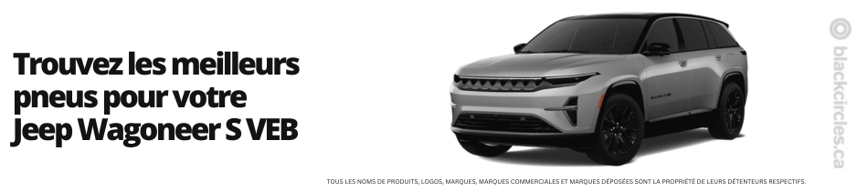 pneus jeep wagoneer s veb